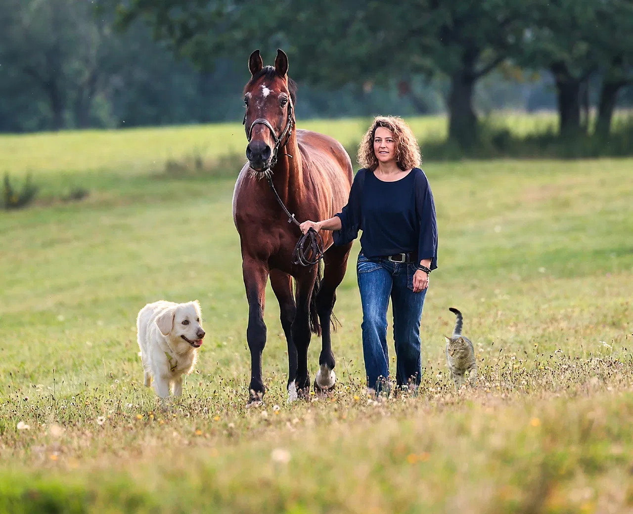 Krauterie, Herbal blends for pets